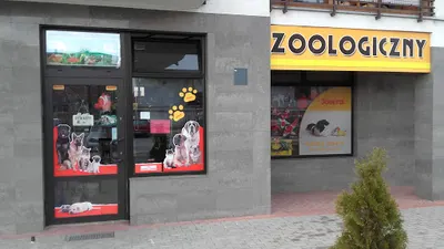 Ełk- Sklep Zoologiczny Anaconda- Ełk